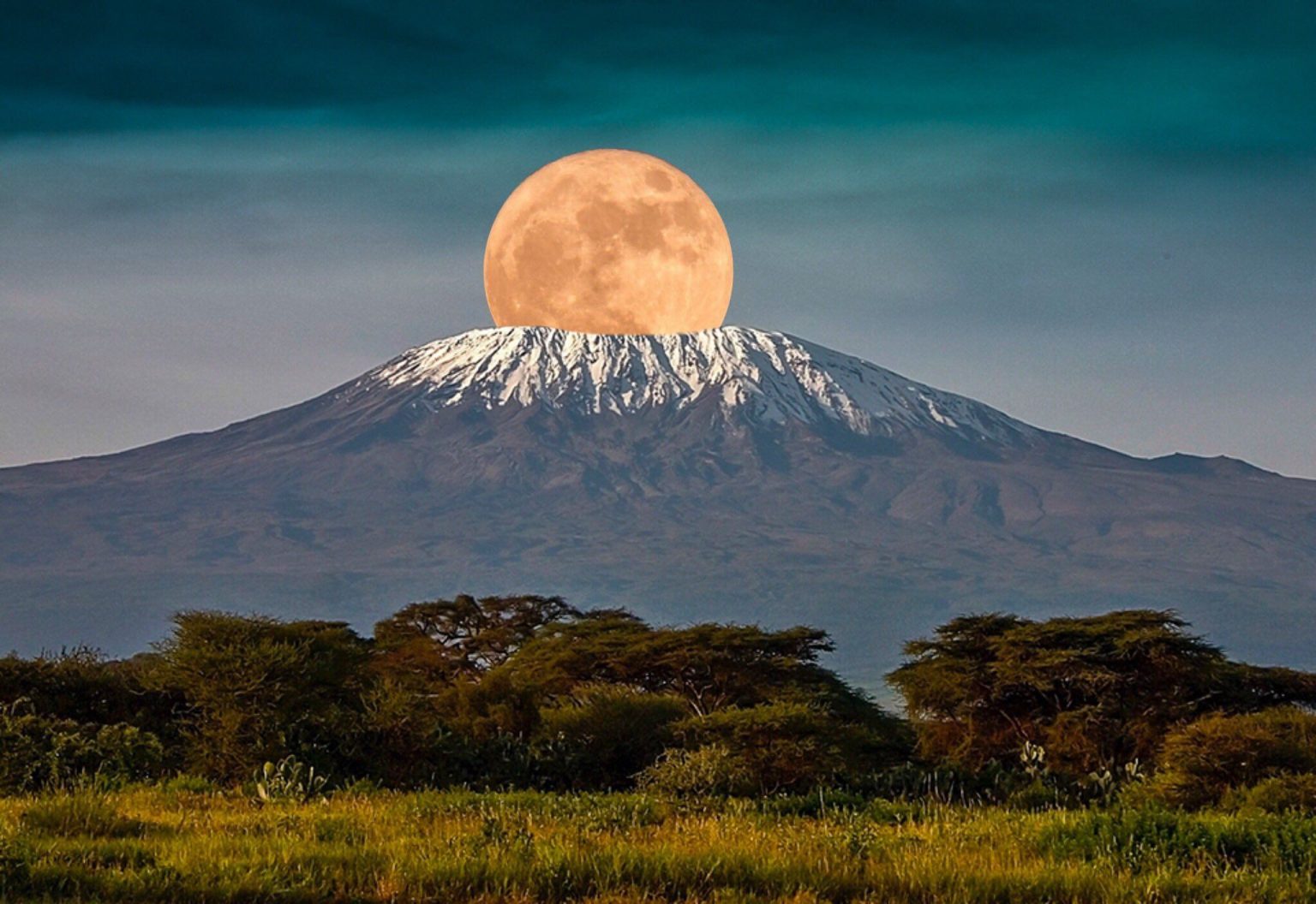 Kilimanjaro trek